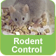 Greenland Rodent Control
